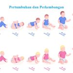 Tahapan Perkembangan Bayi 1 Tahun