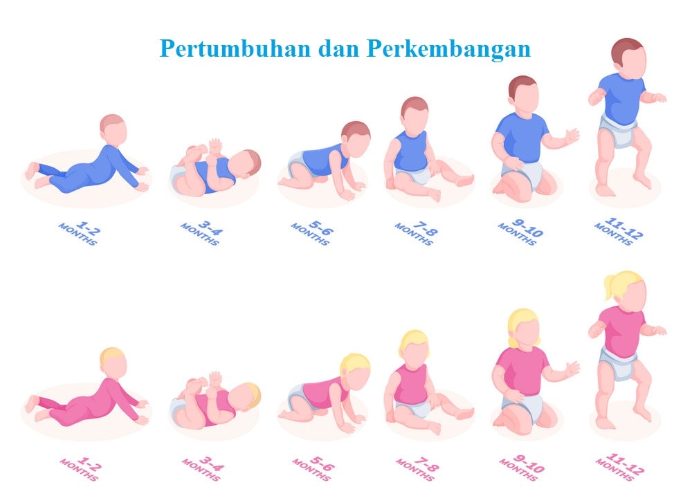 Tahapan Perkembangan Bayi 1 Tahun: Motorik, Bahasa, dan Sosial